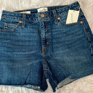 Universal Thread Blue Denim Shorts